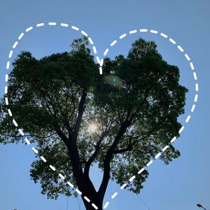 污污网站一区二区
