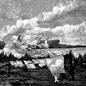 污污网站一区二区
